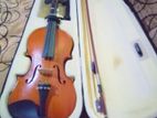 Violin