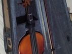 Violin