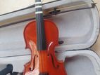 Violin