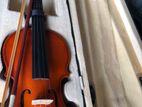 Violin