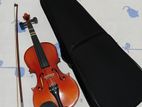Violin