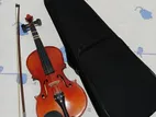 Violin