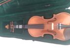 Violin
