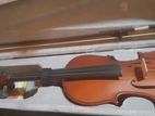 Violin