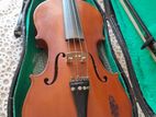 Violin