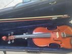 Violin