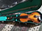 Violin