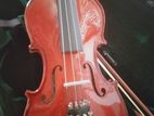 Violin