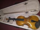 Violin