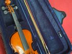 Violin