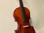 Violin