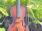 Violin