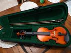 Violin