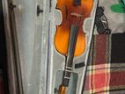 violin