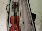 Violin