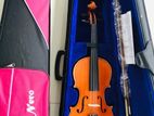 Violin
