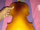 Violin