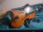 Violin