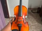 Violin