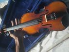 Violin