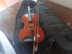 VIOLIN