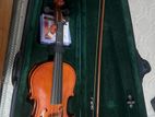 Violin
