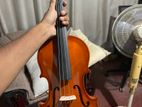 Violin
