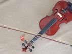 Violin