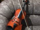 Violin