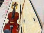 Violin