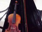 Violin Kapok V006 Premium