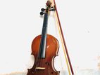 Violin Lark Ex