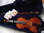 Violin