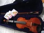 Violin