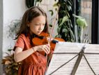 Violin Lessons | & Music Organ