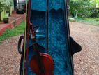 Violin - වයිලින්