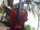 Violin - වයිලින්