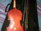 Violin
