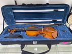 Violins 🎻
