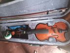 Violin