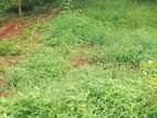 vip land for sale kandana gnemulla road