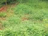 vip land for sale kandana gnemulla road