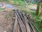 விறகு Firewood