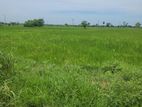 Land for Sale in Batticaloa