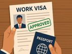Visa Consultants Service