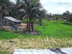Land for Sale Mullaitivu