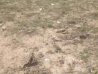 Land for Sale Mattakalappu