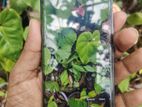Vivo V29 12GB/256GB (Used)