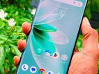 Vivo V29 Pro 5G (Used)