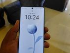Vivo V40 8GB (Used)